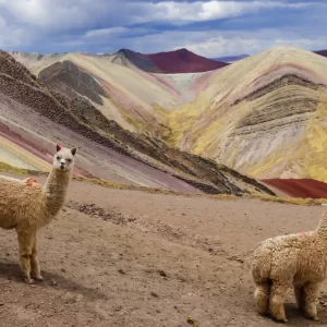 Palccoyo Rainbow Mountain